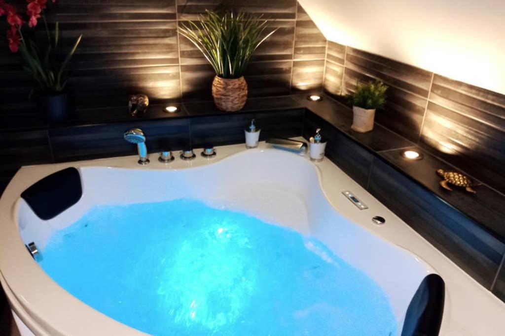 L'Evasion... Balneo. Apartment Sainte-Savine Ngoại thất bức ảnh