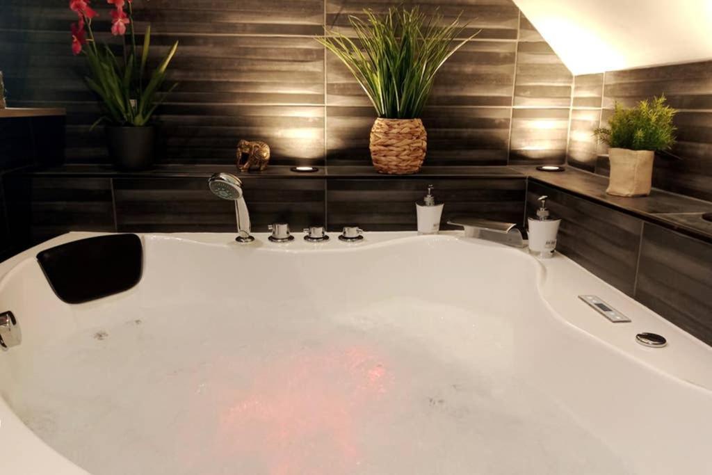 L'Evasion... Balneo. Apartment Sainte-Savine Ngoại thất bức ảnh